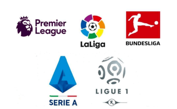 不少球迷在 不少球迷在