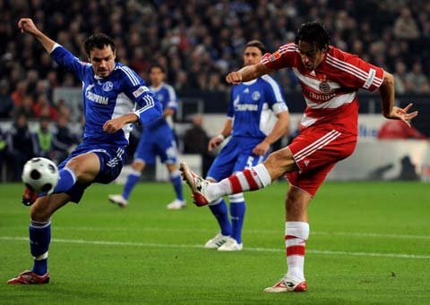 他们都是皇 他们都是皇